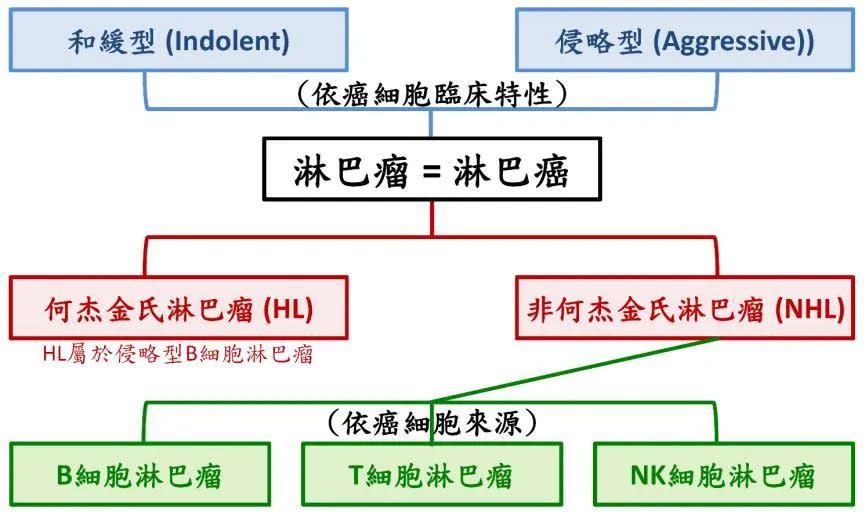 <strong>淋巴瘤極簡易分類。（圖／北榮提供）</strong>