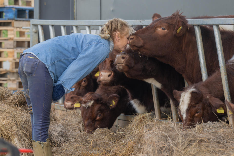 Clarkson loves having animals on Diddly Squat Farm. (Prime Video)