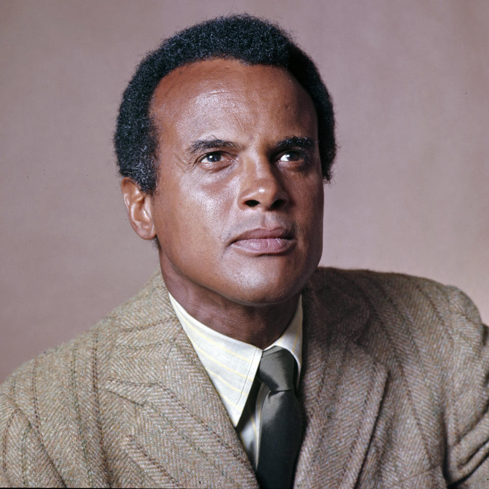 Harry Belafonte (Jack Mitchell / Getty Images)