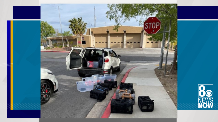 <em>Two people face charges involving the hoarding of dozens of live and deceased animals in and outside Las Vegas, the 8 News Now Investigators have learned. (Boulder City Police Department)</em>