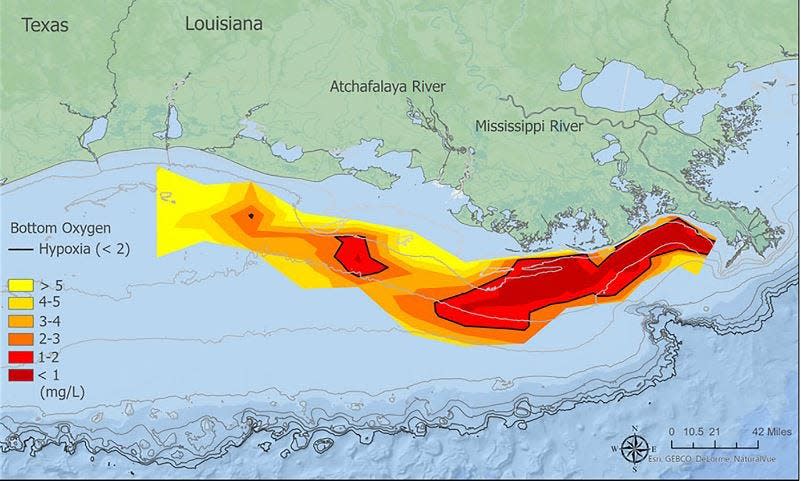 2022's Gulf of Mexico dead zone