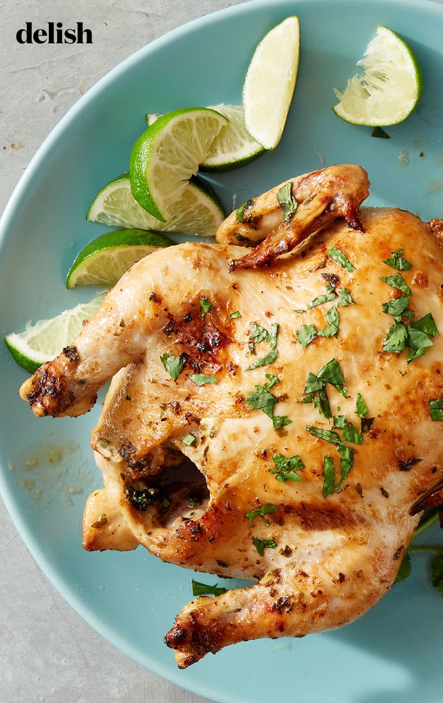 air fryer cilantro lime cornish hen