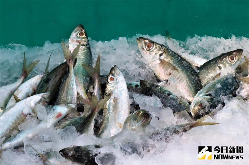 ▲中國23日又宣稱，在其他台灣輸往大陸的魚類產品驗出新冠病毒。（示意圖／記者張塵攝，2020.06.01）