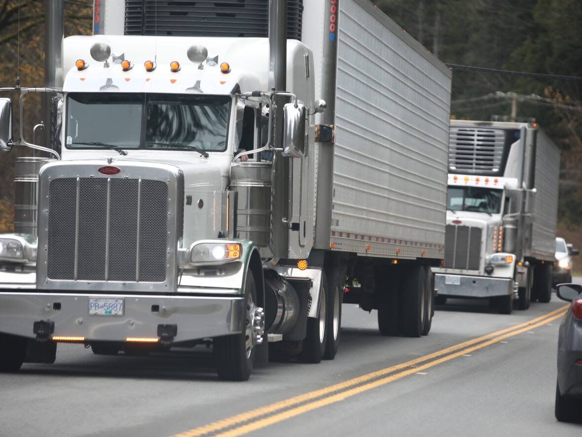 Backed-up truck traffic on Highway 7 near Agassiz, B.C. Trucks are able to get from the Lower Mainland to the Interior via Highway 3 but officials say there have been numerous collisions on that route since the November storms. (Andrew Lee/CBC - image credit)