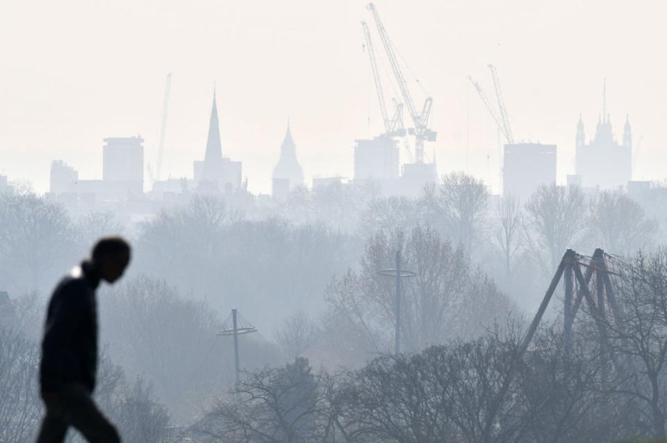  (AFP via Getty Images)