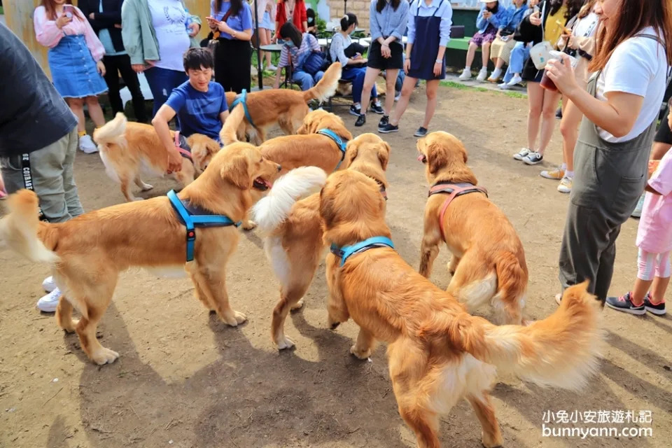 台中景點｜獵犬不打獵寵物餐廳