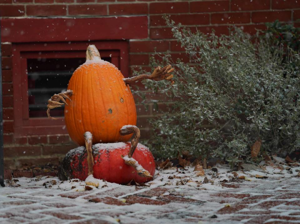 A fall pumpkin gets a coating of snow in Old New Castle on Thursday morning.