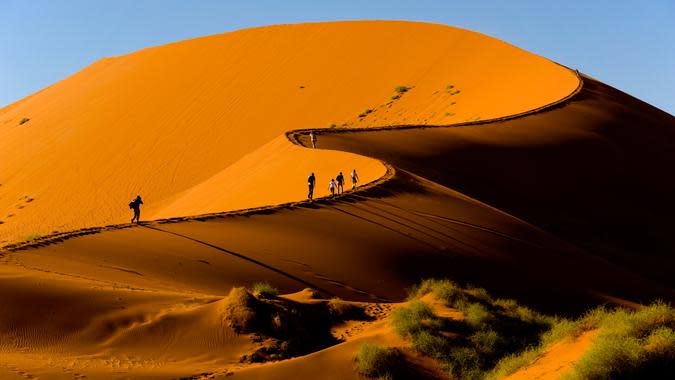 FernandoQuevedo / Getty Images/iStockphoto