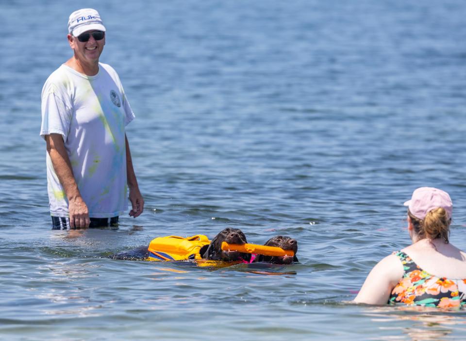 Ed Binnix watches as his dogs, Sunday and Sacha, swim to his daughter, Lainey, after retrieving a floating stick in the water along Beach Drive on Friday.