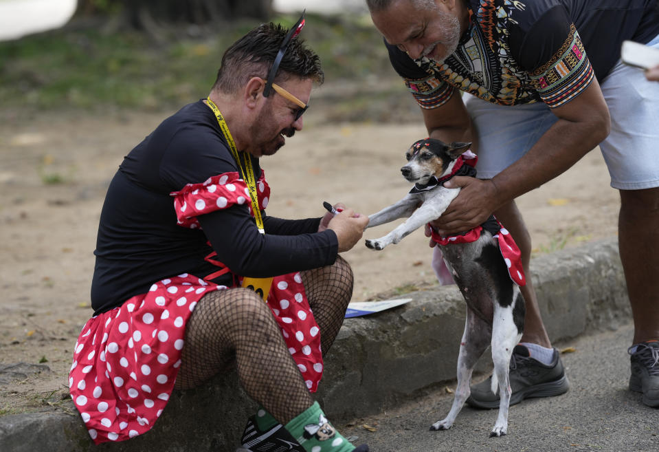 An owner dresses his dog for the "Blocao" dog carnival parade, in Rio de Janeiro, Brazil, Saturday, Feb. 18, 2023. (AP Photo/Silvia Izquierdo)