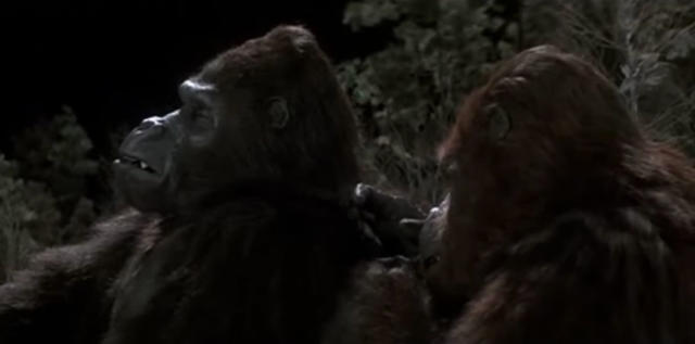 35 Years Ago: Why 'King Kong Lives' Died a Quick Box Office Death