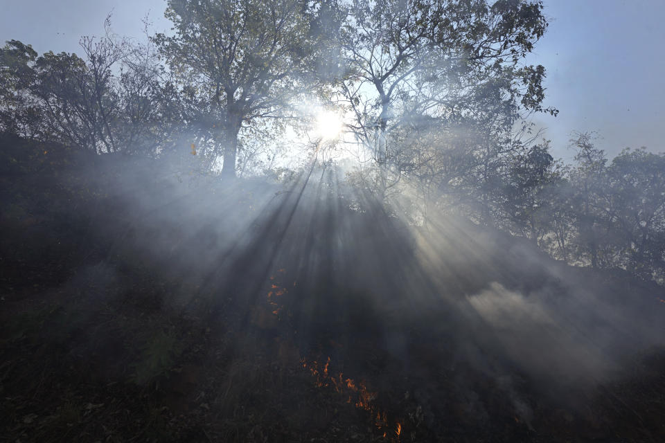 An extensive area of the Serra das Bandeiras forest burns in Barreiras, western Bahia state, Brazil, Thursday, Sept. 21, 2023. According to the National Center for Prevention and Combat of Forest Fires, the fires are being fanned by strong winds, high temperatures, and dry weather. (AP Photo/Eraldo Peres)