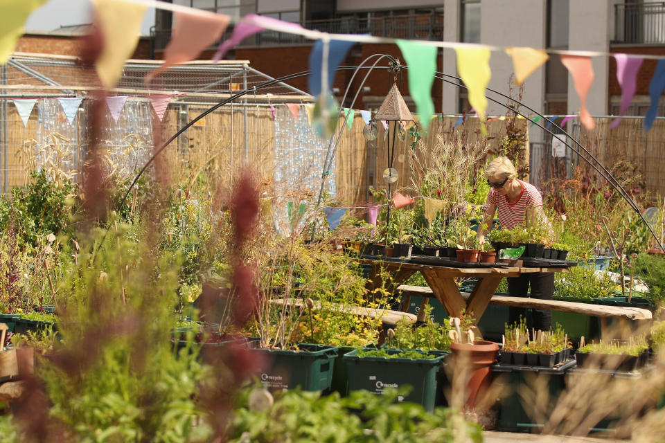 London's Garden Squares Are Opened To The Public