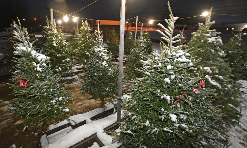 Christmas trees are shown for sale on Nov. 29 at A u0026 J's Trees, 5675 Wattsburg Road in Millcreek Township.