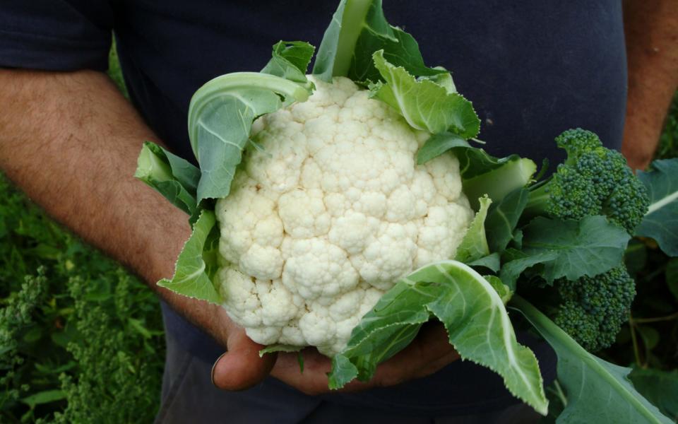 Cauliflower - Credit: Christopher Jones