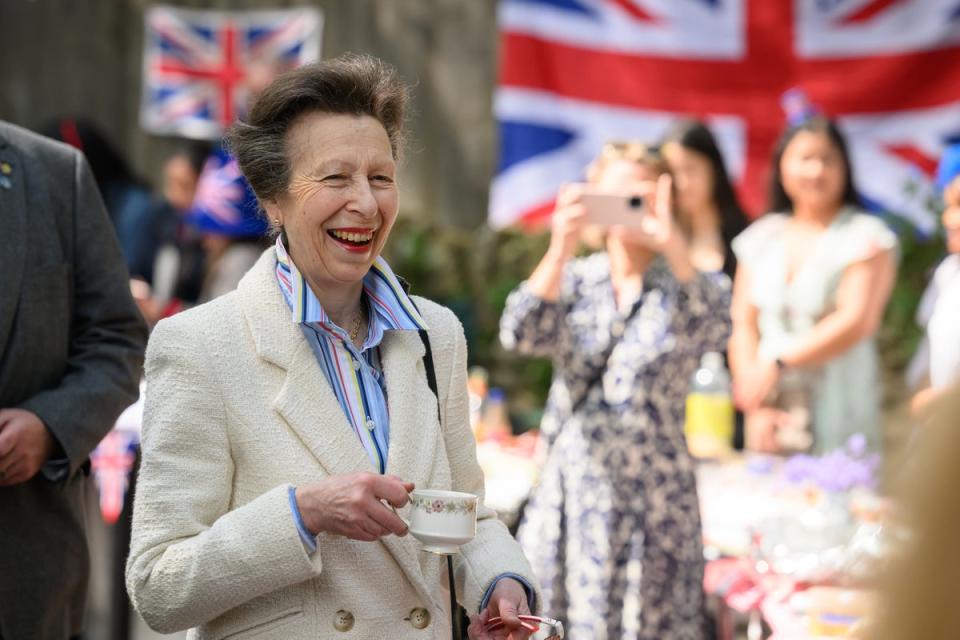 Princess Anne attends a ‘Big Lunch’ coronation party in Swindon (Getty)