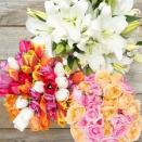 <p>No one can argue with *more* flowers. Sign yourself (or your pals) up for a joy-boosting flower subscription, available at a variety of price points. Plus, your flowers are going to be way fresh: Bouqs has farm-direct sourcing, meaning there are fewer middlemen between you and the freshest flowers.</p><p><a class="link " href="https://go.redirectingat.com?id=74968X1596630&url=https%3A%2F%2Fbouqs.com%2Fsubscriptions%2Fnew%2Fplan&sref=https%3A%2F%2Fwww.goodhousekeeping.com%2Fholidays%2Fgift-ideas%2Fg34440964%2Fbest-gardening-gifts%2F" rel="nofollow noopener" target="_blank" data-ylk="slk:BUY NOW;elm:context_link;itc:0;sec:content-canvas">BUY NOW</a></p><p><strong>RELATED:</strong> <a href="https://www.goodhousekeeping.com/home/gardening/advice/g2323/best-flower-delivery-service/" rel="nofollow noopener" target="_blank" data-ylk="slk:The Best Flower Delivery Services for Every Occasion;elm:context_link;itc:0;sec:content-canvas" class="link ">The Best Flower Delivery Services for Every Occasion</a></p>