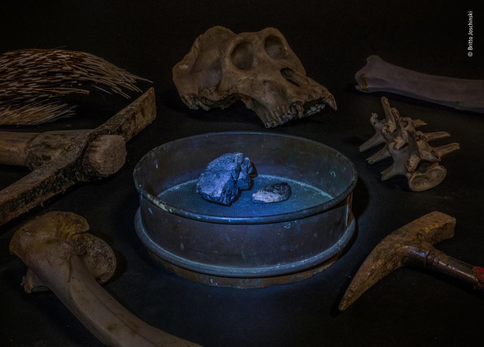 A photo on the shortlist for the Wildlife Photographer of the Year competition: A glowing piece of coltan surrounded by mining tools and gorilla bones