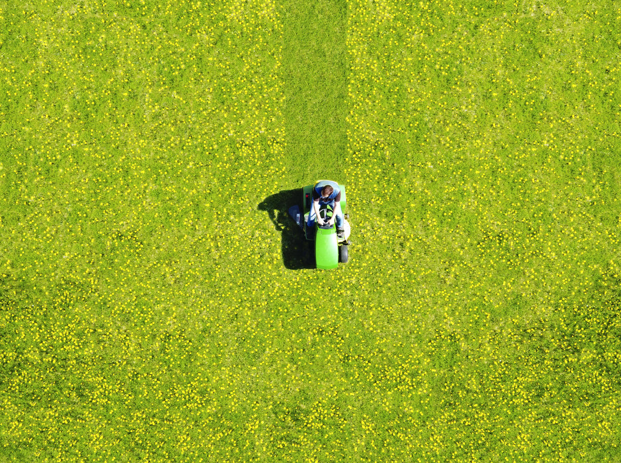 Treat your lawn well and it just might look as good as this one. (Photo: Getty Images)