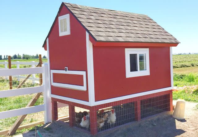 Little Red Barn Chicken Coop