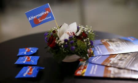 A little flag and brochures of the right-wing Alternative for Germany (AFD) are pictured during a rally for the upcoming Saxony-Anhalt state elections in Bitterfeld, Germany, February 29, 2016. Picture taken February 29, 2016. REUTERS/Fabrizio Bensch