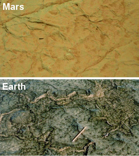 Comparativa entre las grietas encontradas en suelo marciano (arriba) y otros terrestres estudiados por Nora Nofke en Tunez (abajo). (Crédito NASA/Nora Nofke. Imagen publicada en Astrobiology).