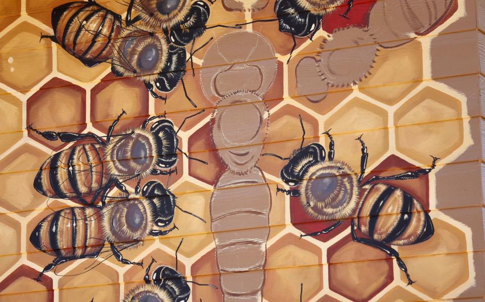 A detail of a bee and pollinator mural being painted by Matt Willey, artist and founder of The Good of the Hive initiative, is pictured on the new Norma W. Matheson Education Animal Center inside the future Aline W. Skaggs Wild Utah exhibit at the Hogle Zoo in Salt Lake City on Tuesday.