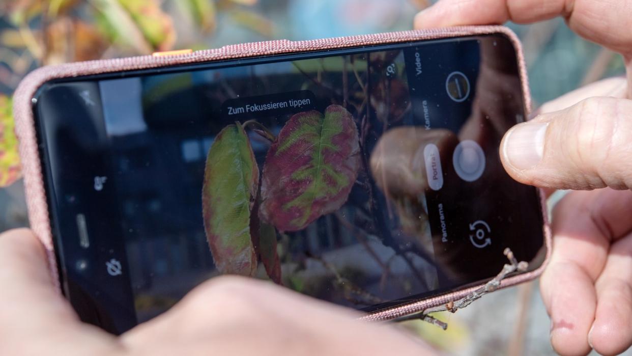 Der Herbst ist da - und mit ihm die neuen Pixel-Telefone: Google positioniert seine neue Smartphone-Generation vor allem als Spitzenkamera. Foto: Andrea Warnecke/dpa-tmn