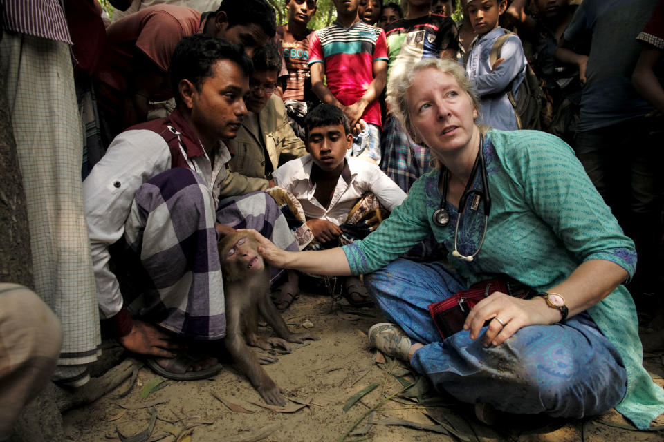 Image: Dr. Lisa Jones-Engel
conducted research on long-tailed macaques in Bangladesh in 2014 and 2015. (Lynn Johnson)