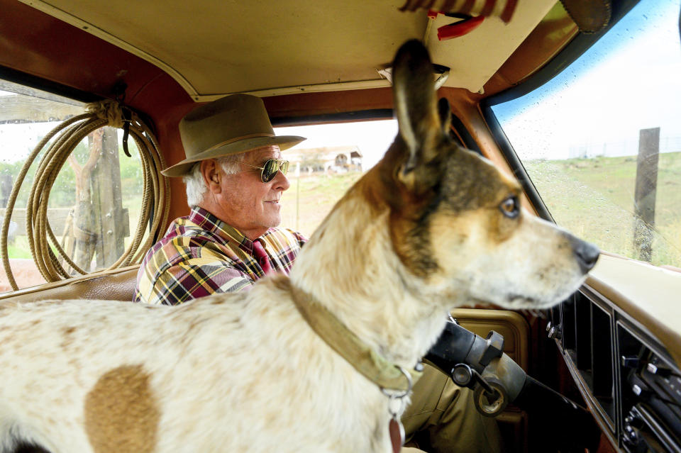 Don Criswell, accompanied by his dog Tucker, drives on Criswell Ranch, Wednesday, Oct. 25, 2023, in Paradise, Calif. Criswell and his wife fought to save structures as the Camp Fire tore through their ranch in 2018. (AP Photo/Noah Berger)