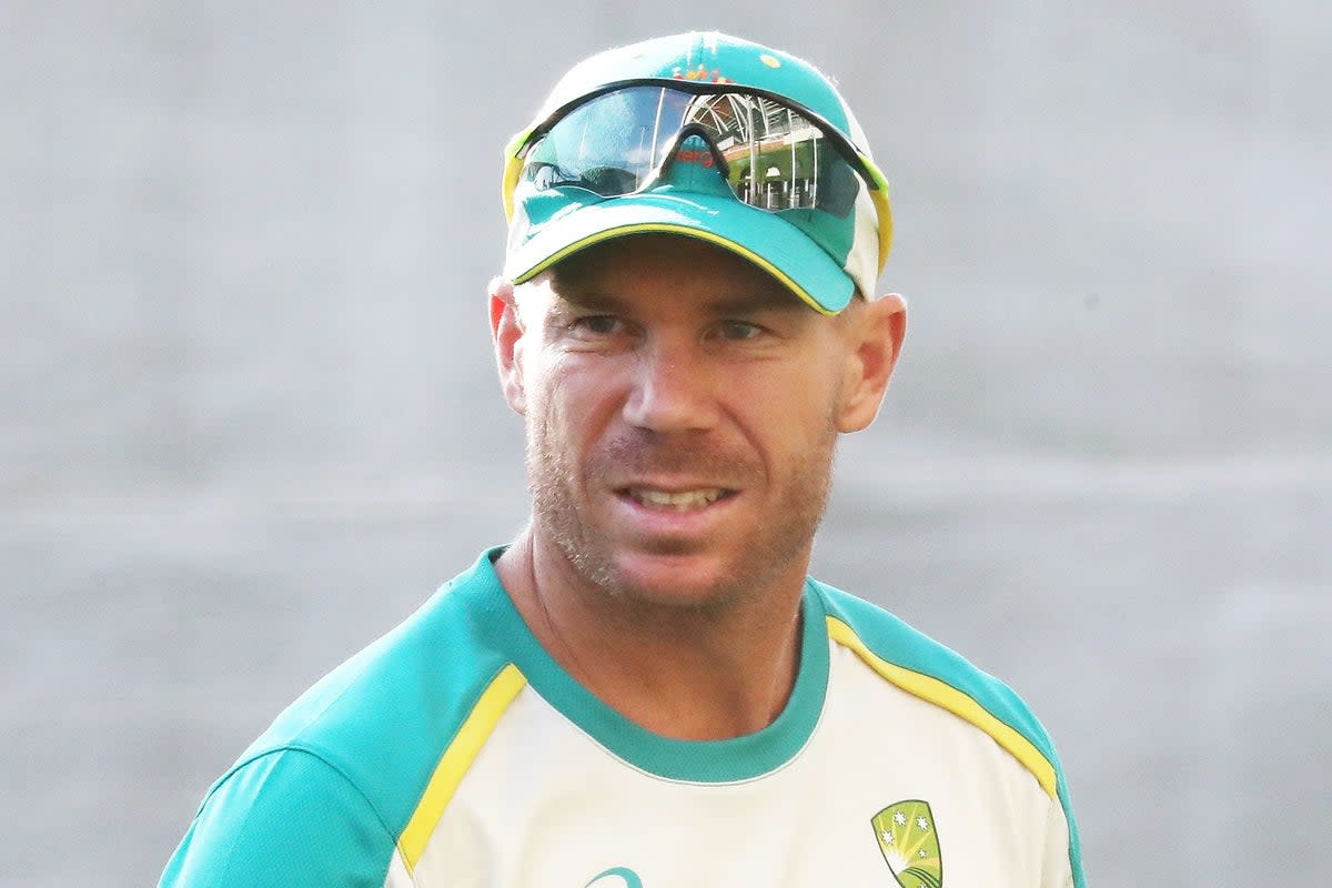 David Warner will miss the rest of Australia’s Test series in India (Jason O’Brien/PA) (PA Wire)