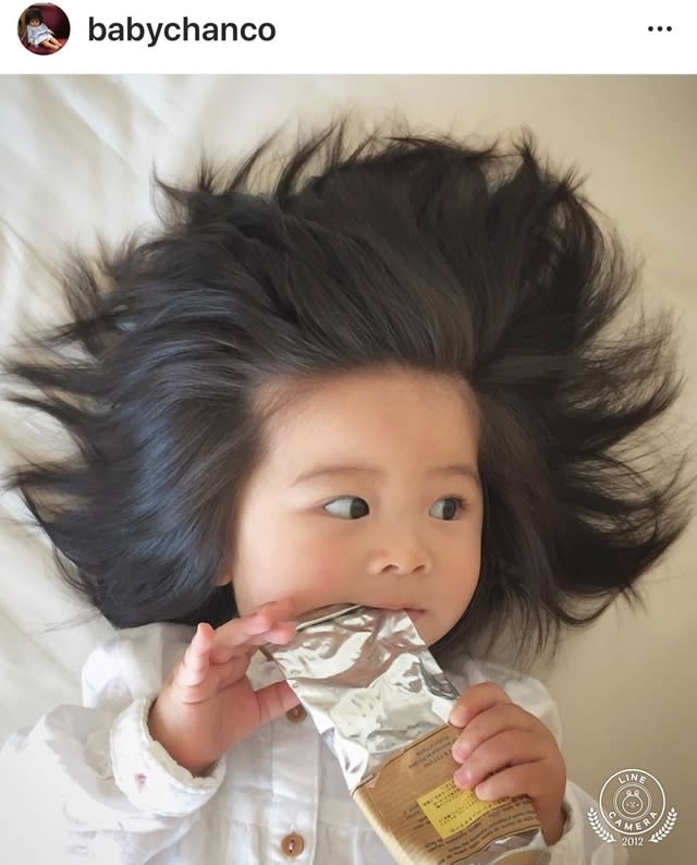 1歲多的Chanco因髮量多走紅。(IG圖片)