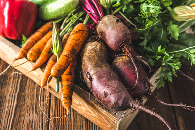 Find of the Day: This #1 Best-Selling Vegetable Chopper Is