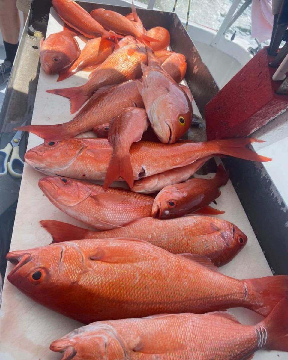 Vermilion snapper were biting for Lady Stuart anglers on Aug. 5, 2022.