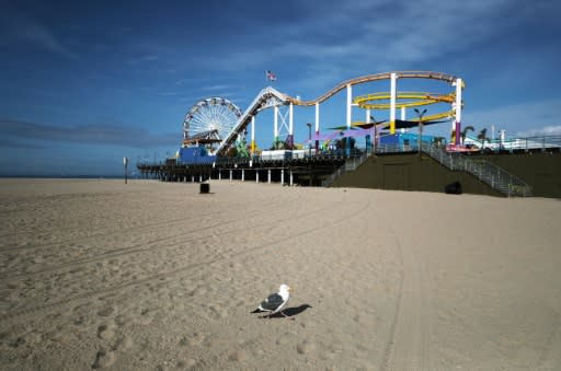 Una gaviota solitaria se mueve a lo largo de la playa desierta y cerrada de Santa Mónica en medio de la pandemia de coronavirus, el 28 de marzo de 2020, en Manhattan Beach, California. (GETTY IMAGES NORTH AMERICA/AFP | MARIO TAMA)