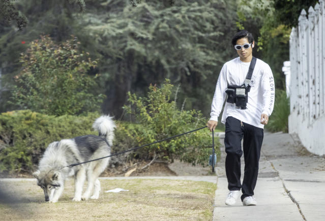 Angelina Jolie and Brad Pitt's Son Pax Jolie-Pitt Enjoys Rare Outing in L.A.  Walking His Dog: See Photos