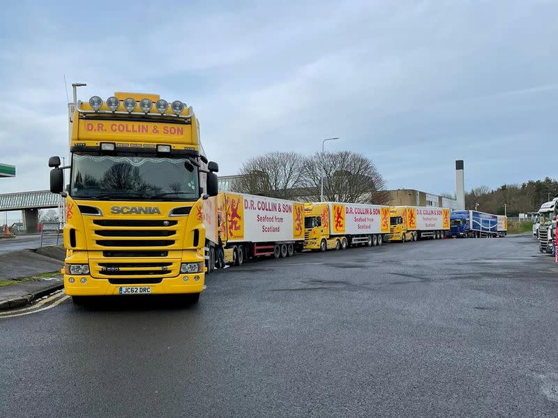 Seafood lorries protest in London