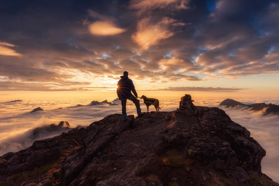 <strong>Third Place</strong><br />"Over the Sea of Fog"<br />Dania, Crossbreed Portuguese Podengo, Austria