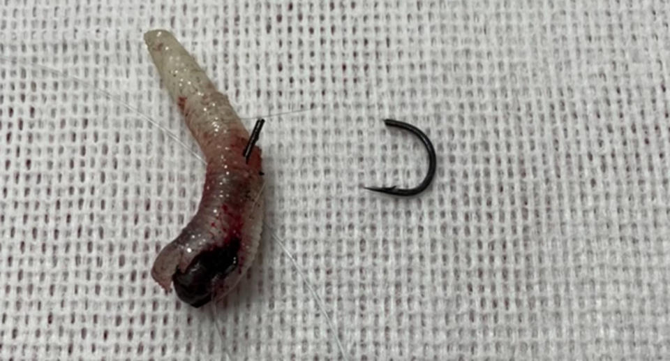 The broken hook attached to an artificial bait that injured the ibis. Source: Supplied