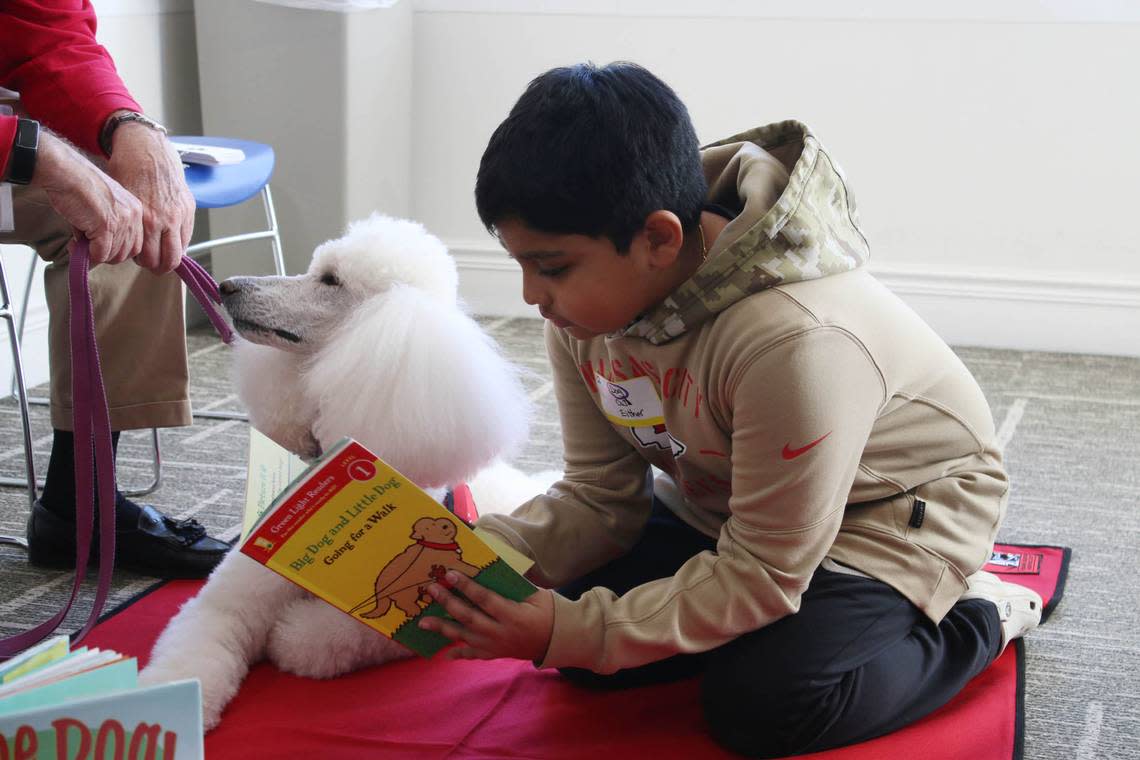 Overland Park resident Manish Bhadriaju, 9, reads to poodle Kizi Katherine during the Read to a Dog event at the Leawood Library. Beth Lipoff/Special to The Star