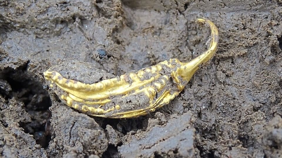 A photo of a gold earring in the mud
