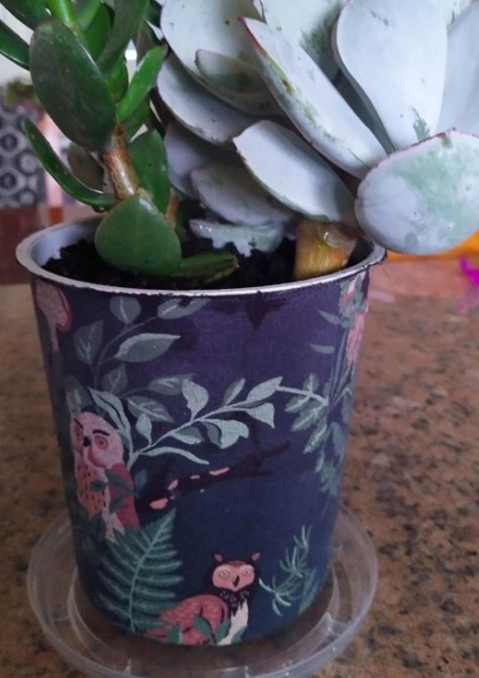 Photo of a plant pot decorated with Kmart pyjama pants. 