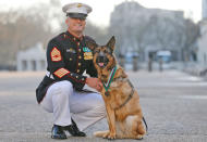 <p>Gunnery sergeant Christopher Willingham, of Tuscaloosa, Alabama, USA, poses with US Marine dog Lucca, after receiving the PDSA Dickin Medal, awarded for animal bravery, equivalent of the Victoria Cross, at Wellington Barracks in London, Tuesday, April 5, 2016. The 12-year-old German Shepherd lost her leg on 23 March 2012, in Helmand Province, Afghanistan, when Lucca discovered a 30lb improvised explosive device (IED) and as she searched for additional IEDs, a second device detonated, instantly loosing her front left leg. Lucca completed over 400 separate missions in Iraq and Afghanistan during six years of active service protected the lives of thousands of troops, with her heroic actions recognised by the UK’s leading veterinary charity, PDSA, with the highest award any animal in the world can achieve while serving in military conflict. (AP Photo/Frank Augstein)</p>