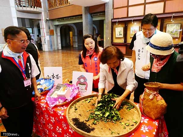 宜蘭桐花祭，邀您來場桐花饗宴四月廿七日-四月廿八日舉行。在縣府縣民大廳縣長林姿妙出席，體驗揉茶的樂趣。（記者董秀雲攝）