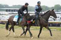 Hot Rod Charlie trains the day before the 153rd running of the Belmont Stakes horse race in Elmont, N.Y., Friday, June 4, 2021. (AP Photo/Seth Wenig)