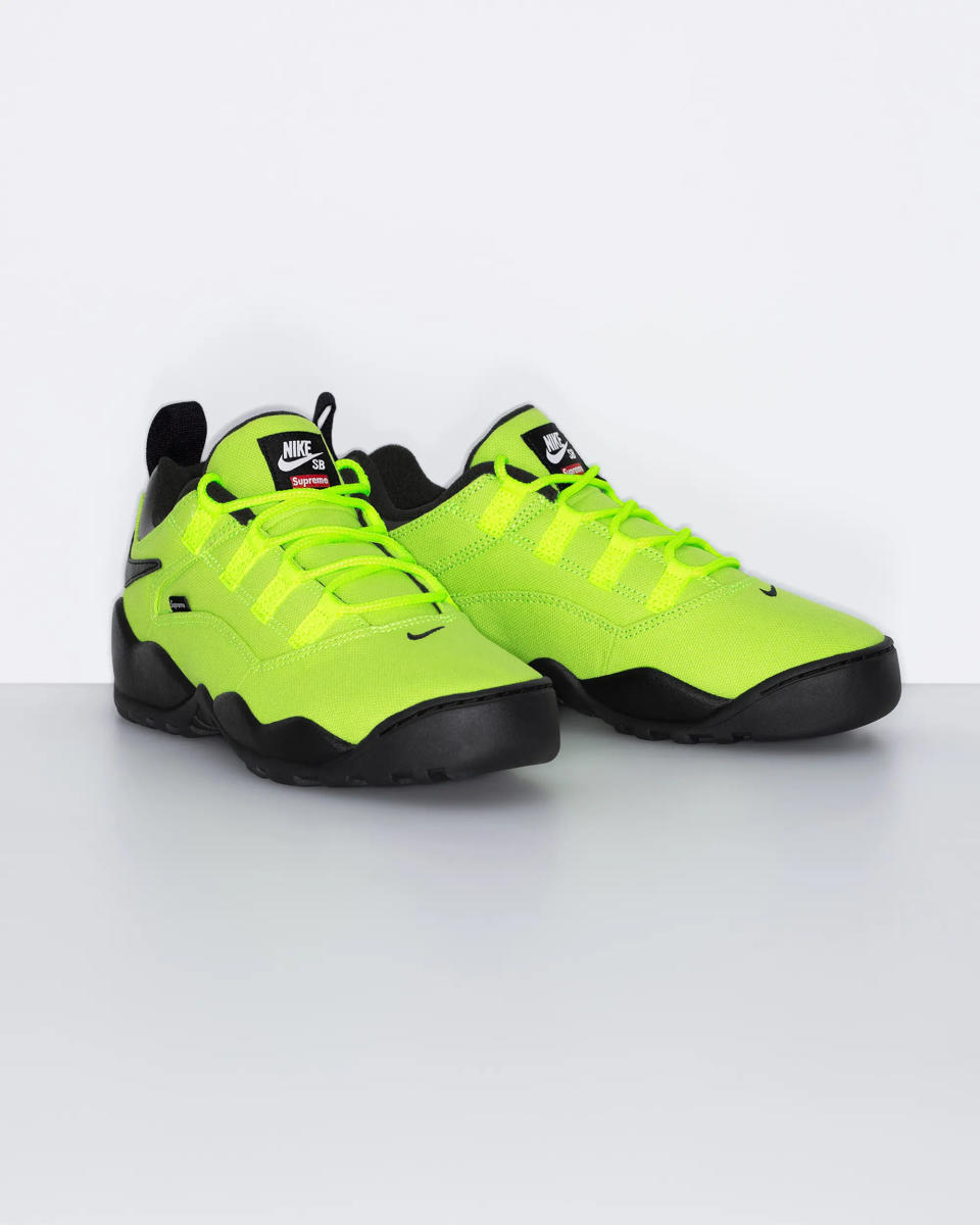 Supreme Nike SB Darwin Low Green