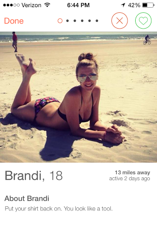 Tinder sarcastic bio