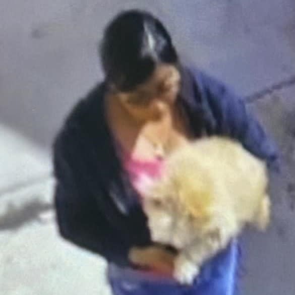 Afrodita as seen on surveillance video leaving with her dog.