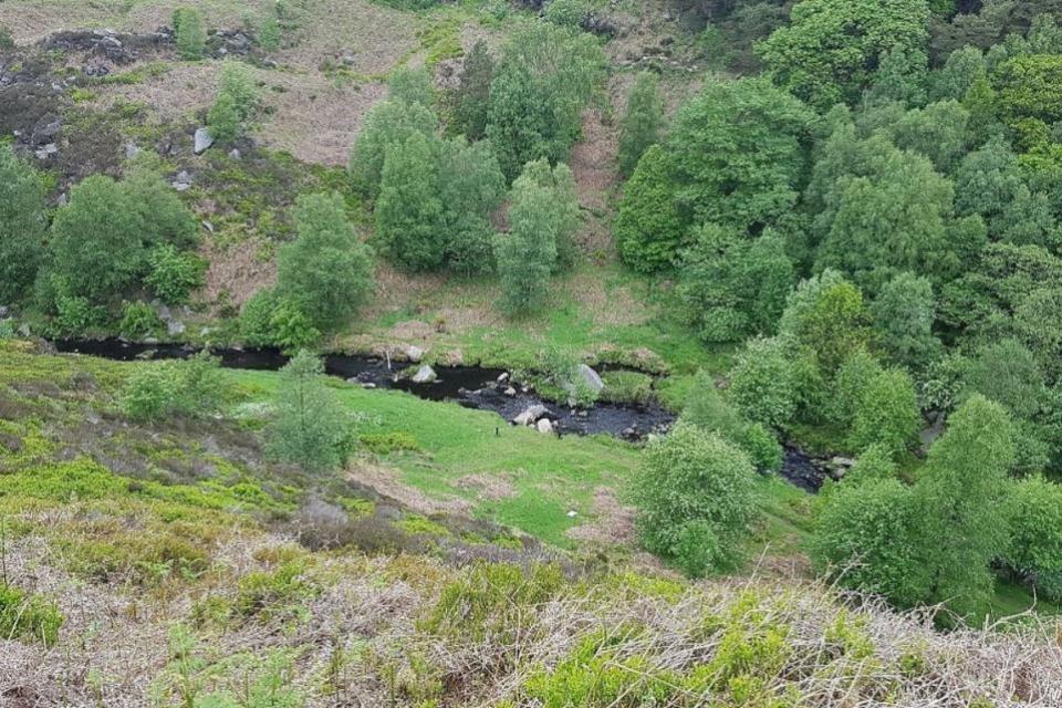 Bradford Telegraph and Argus: Have you taken a stroll through Hardcastle Crags?