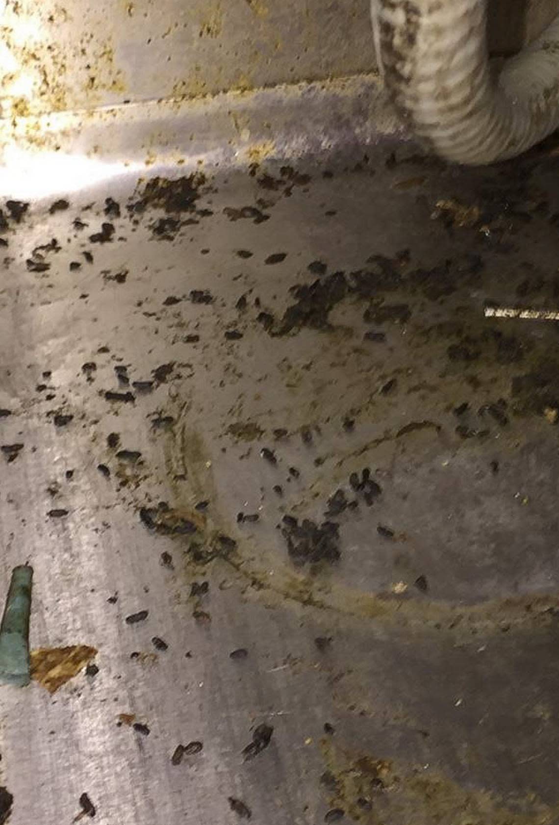 Rodent droppings and debris litter the under-grill area of Jay’s Flame Grilled Chicken, a restaurant in the food court at the Fresno Fashion Fair mall, during a Fresno County health inspection in November 2017.